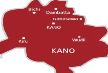 Kano child abuse case