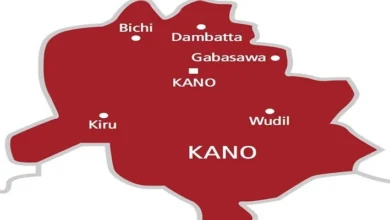 Kano child abuse case