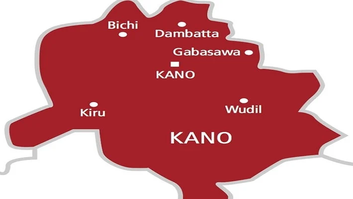 Kano child abuse case
