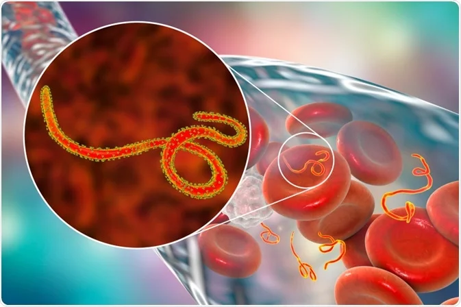 Ebola alerts