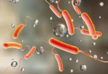 Cholera Outbreak
