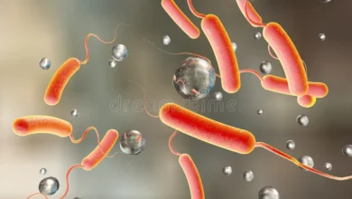 Cholera Outbreak