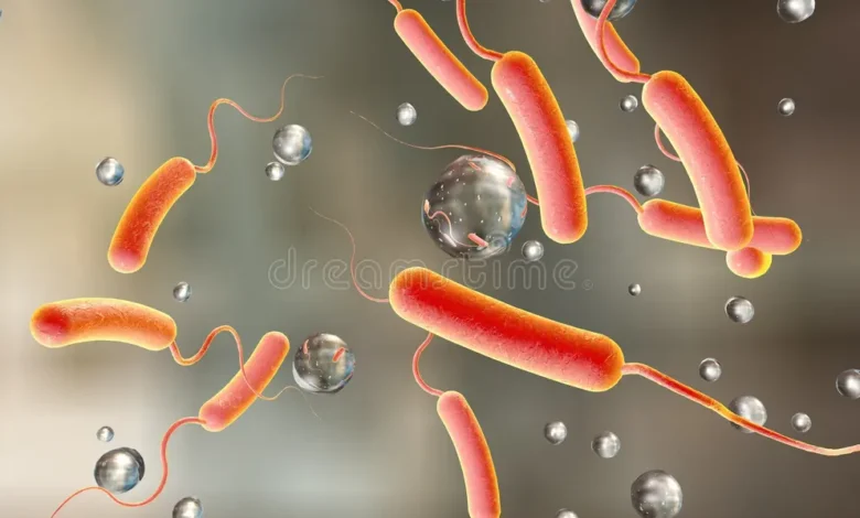 Cholera Outbreak