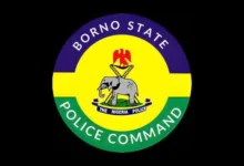 Borno school attack NECO students abducted