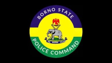 Borno school attack NECO students abducted