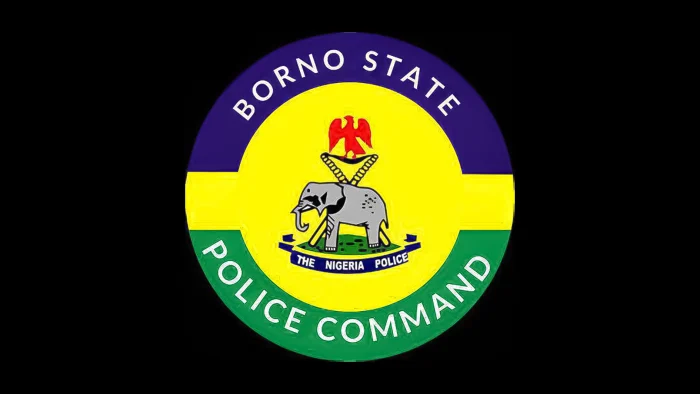 Borno school attack NECO students abducted