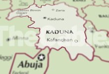 Mob burns woman in Kaduna over child theft rumour