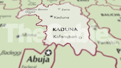 Mob burns woman in Kaduna over child theft rumour