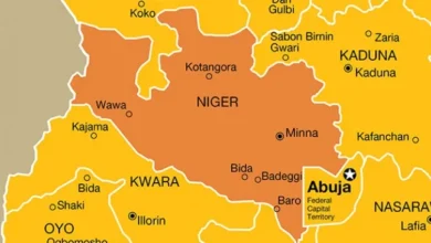 Bandits burn Niger primary school