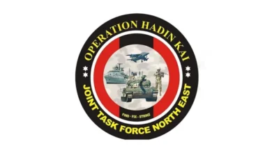 Borno troops rescue captives