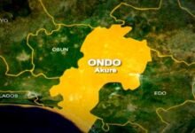 18-month-old baby has been brutally killed