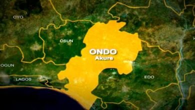 18-month-old baby has been brutally killed