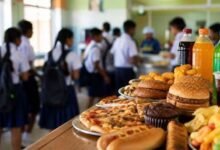 nationwide ban on junk food in schools
