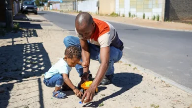 International Day of Play