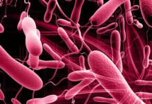 274 new suspected cholera cases