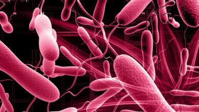 274 new suspected cholera cases