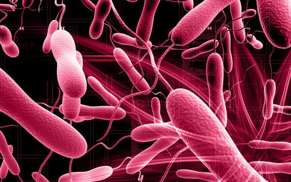 274 new suspected cholera cases