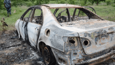 Oyo and Borno school children captivity