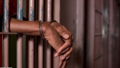 5-year-old girl allegedly sexually abused
