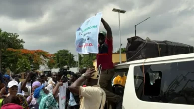Oyo and Borno school abductions 48 days