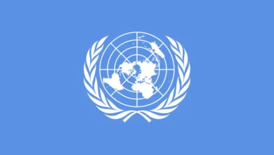 UN AI child protection