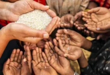 Somalia children malnutrition crisis