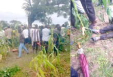 Adamawa lightning kills six children