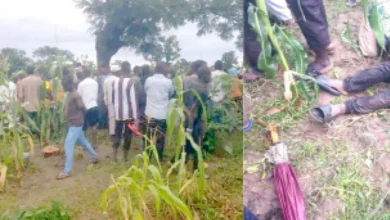Adamawa lightning kills six children