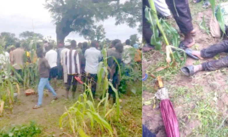 Adamawa lightning kills six children