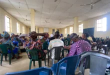 Freed Oyo children