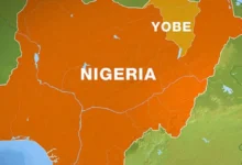 Yobe Police Arrest Man Over Alleged Child Sexual Abuse