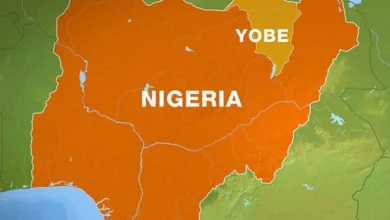 Yobe Police Arrest Man Over Alleged Child Sexual Abuse