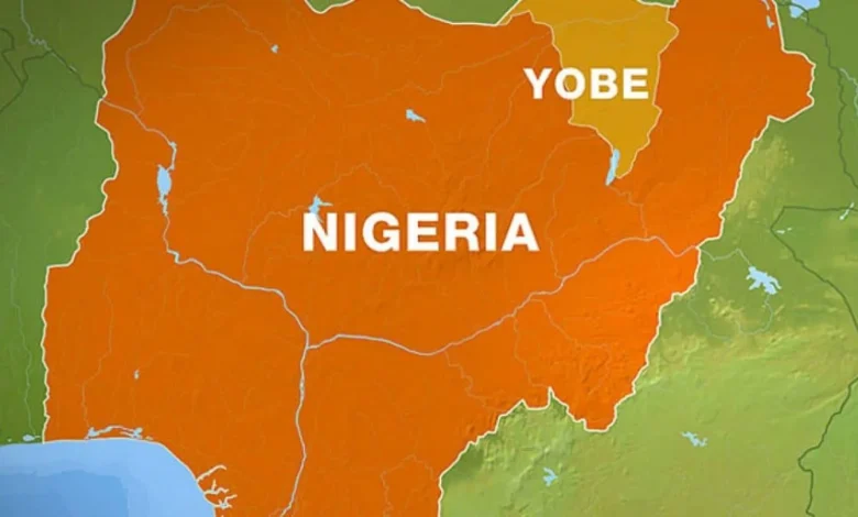 Yobe Police Arrest Man Over Alleged Child Sexual Abuse