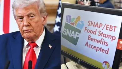 Trump SNAP changes children food aid