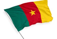 Cameroon child protection crisis