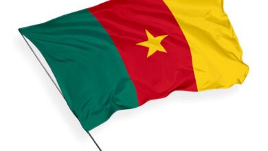 Cameroon child protection crisis