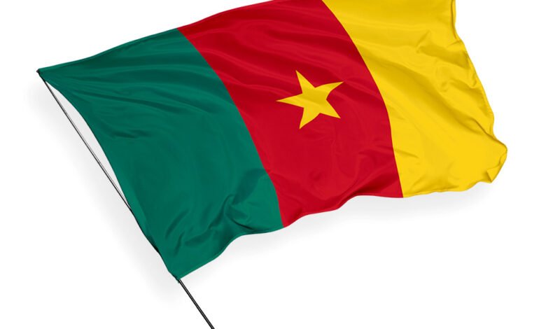 Cameroon child protection crisis