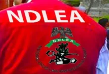 Bauchi NDLEA operative child sexual abuse