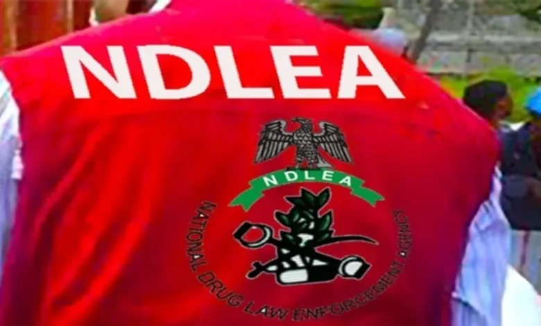 Bauchi NDLEA operative child sexual abuse