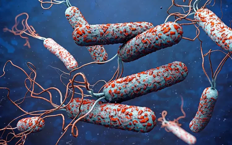 Plateau cholera outbreak