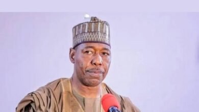 Borno schoolchildren abduction