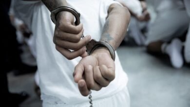 Nigerians linked to child offences
