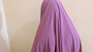 Kebbi newborn stolen