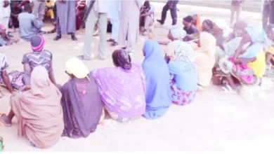 Borno schoolchildren abduction
