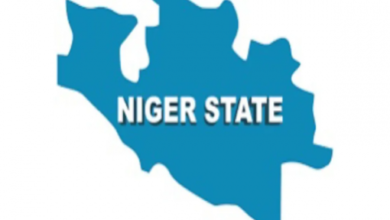 child sexual abuse in Niger