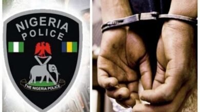 Ogun pharmacist arrested