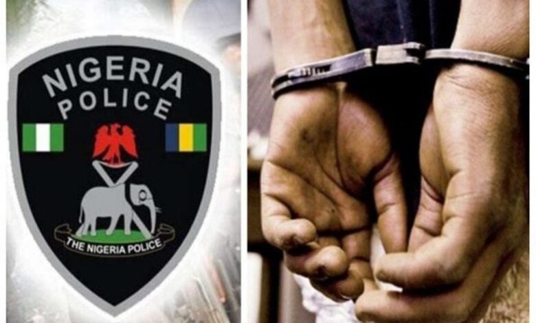 Ogun pharmacist arrested
