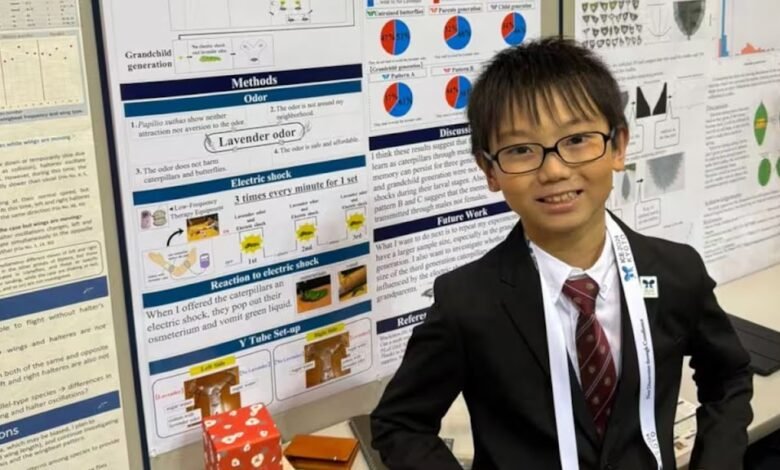 Jo Nagai butterfly research