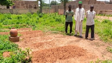 Kano diphtheria deaths