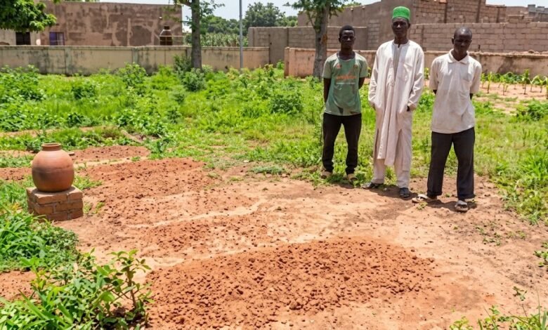 Kano diphtheria deaths